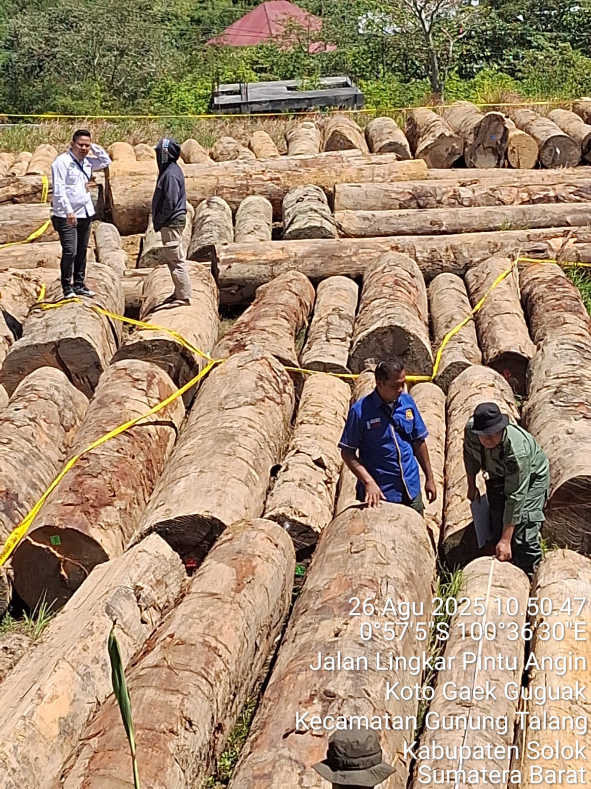 gakkum-kehutanan-limpahkan-tersangka-pemanenan-hasil-hutan-tanpa-hak-ke-kejari-solok