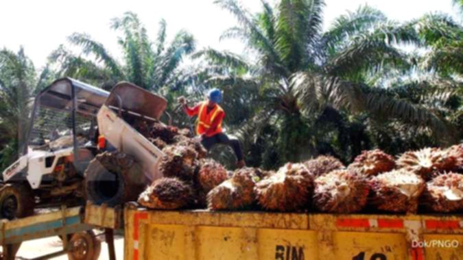 Logo PT Pinago Utama Tbk yang kini resmi berganti nama menjadi PT AEP Pinago Plantations Tbk.