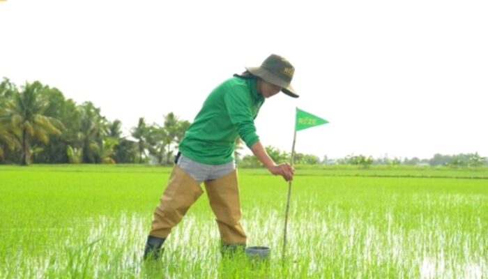 Rockefeller Foundation Investasi di Startup Pertanian Rendah Emisi Rize
