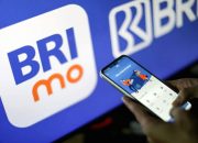 Cara Beli ORI030 di BRImo dan Keuntungannya bagi Investor