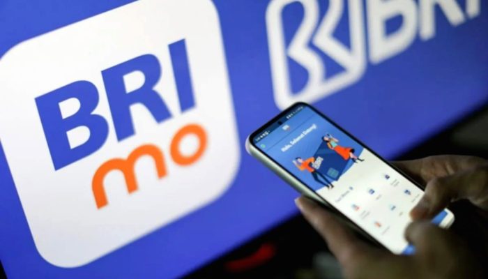Cara Beli ORI030 di BRImo dan Keuntungannya bagi Investor