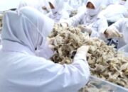 Abadi Lestari (RLCO) Serap Dana IPO Rp 57,7 Miliar untuk Operasional