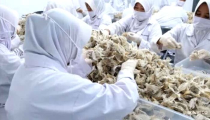Abadi Lestari (RLCO) Serap Dana IPO Rp 57,7 Miliar untuk Operasional