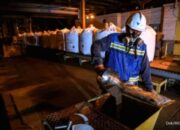 Dolar AS Menguat, Cek Prospek Saham INCO, INKP, CUAN, dan INDY