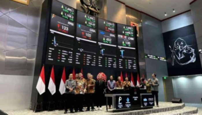Swayasa Prakarsa Segera IPO, Simak Prospek Saham dan Detail Penawaran