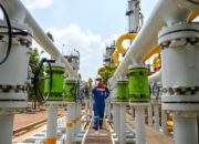 Direktur Jenderal Minyak dan Gas Bumi, Laode Sulaeman, saat memberikan keterangan terkait target kemandirian energi nasional.