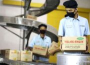 Laba Sido Muncul Turun 44%, Analis Proyeksikan Sinyal Pemulihan Kinerja