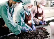 Pendapatan Wahana Interfood Tumbuh 4,3 Persen pada Kuartal II 2026