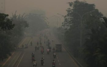 Karhutla di Kalimantan Picu Polusi Udara Berbahaya, Warga Wajib Bermasker