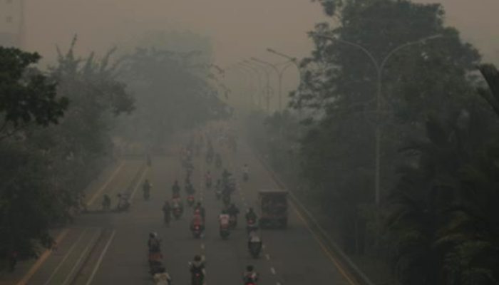 Karhutla di Kalimantan Picu Polusi Udara Berbahaya, Warga Wajib Bermasker