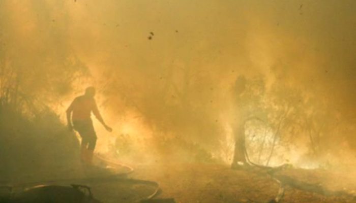 Karhutla Kawah Ijen Mulai Padam, Petugas Lanjutkan Pemadaman Udara