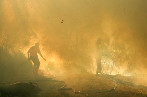 Proses pemadaman kebakaran hutan dan lahan di kawasan TWA Kawah Ijen oleh tim gabungan