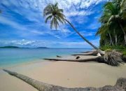 5 Keindahan Pantai Terbaik di Pasaman Barat