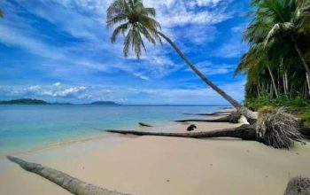 5 Keindahan Pantai Terbaik di Pasaman Barat