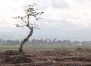 28 Rute Penerbangan Padang-Jakarta Batal