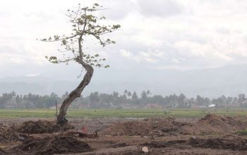 28 Rute Penerbangan Padang-Jakarta Batal