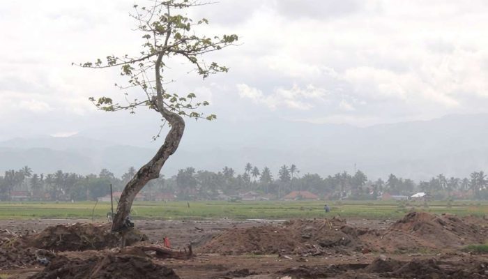 28 Rute Penerbangan Padang-Jakarta Batal