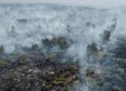 Kabut asap tebal menyelimuti wilayah Kalimantan akibat kebakaran hutan dan lahan.
