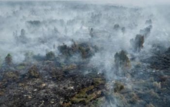 Karhutla Kepung Kalimantan, Kualitas Udara Capai Level Berbahaya Hari Ini