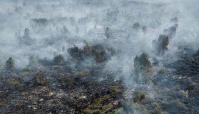 Karhutla Kepung Kalimantan, Kualitas Udara Capai Level Berbahaya Hari Ini