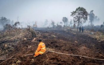 Minimnya Fungsi Lindung Ekosistem Gambut Riau Picu Risiko Karhutla