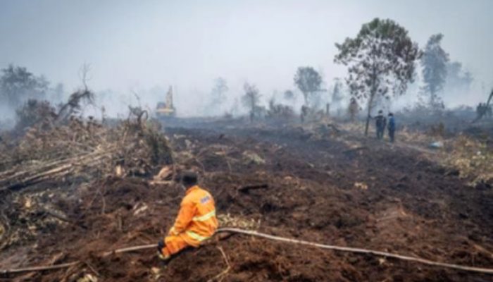 Minimnya Fungsi Lindung Ekosistem Gambut Riau Picu Risiko Karhutla