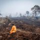 Presiden Prabowo Subianto memberikan instruksi terkait penanganan kebakaran hutan dan lahan.