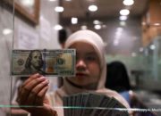 Grafik pergerakan nilai tukar mata uang dolar AS di layar monitor perdagangan.