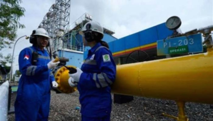 Prospek Saham RAJA dan RATU Cerah, Simak Rekomendasi Analis Terbaru