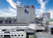 Sejumlah ayam broiler di peternakan modern yang mengalami kenaikan harga jual pada tahun 2026.