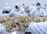 Abadi Lestari RLCO Luncurkan Produk Sarang Burung Walet Premium Domestik